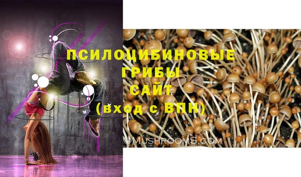 метамфетамин Нязепетровск