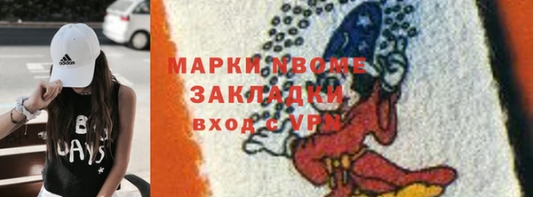 шишки Няндома