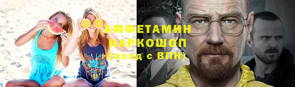 шишки Няндома