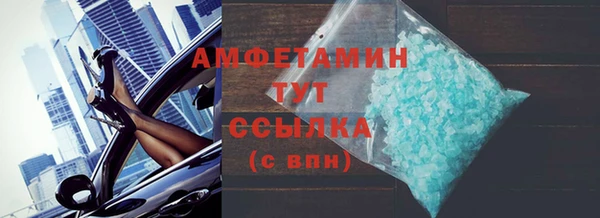 шишки Няндома