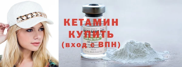 шишки Няндома