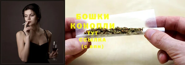 шишки Няндома