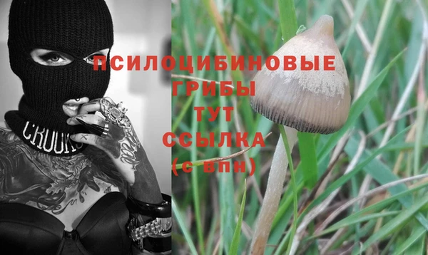 прущая мука Болхов
