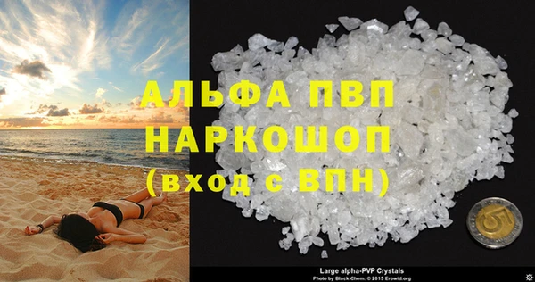 шишки Няндома