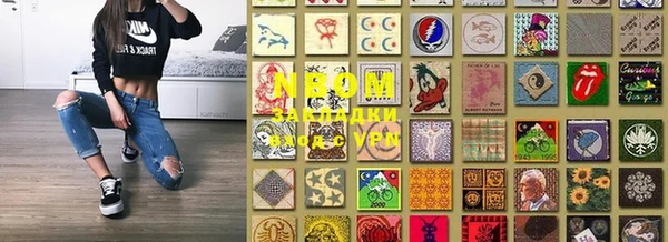 шишки Няндома