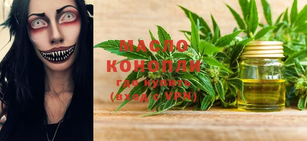 шишки Няндома