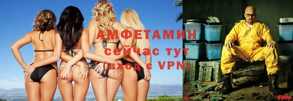 шишки Няндома