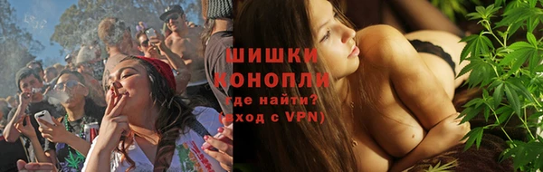 шишки Няндома