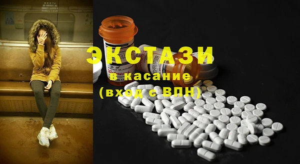 шишки Няндома