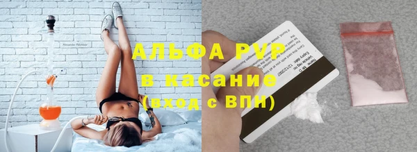 спиды Новозыбков