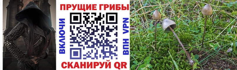 Псилоцибиновые грибы GOLDEN TEACHER  купить   Ржев 