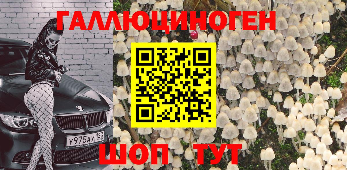 Галлюциногенные грибы GOLDEN TEACHER  Галлюциногенные грибы мицелий  Ржев  наркотики  Вход с VPN 